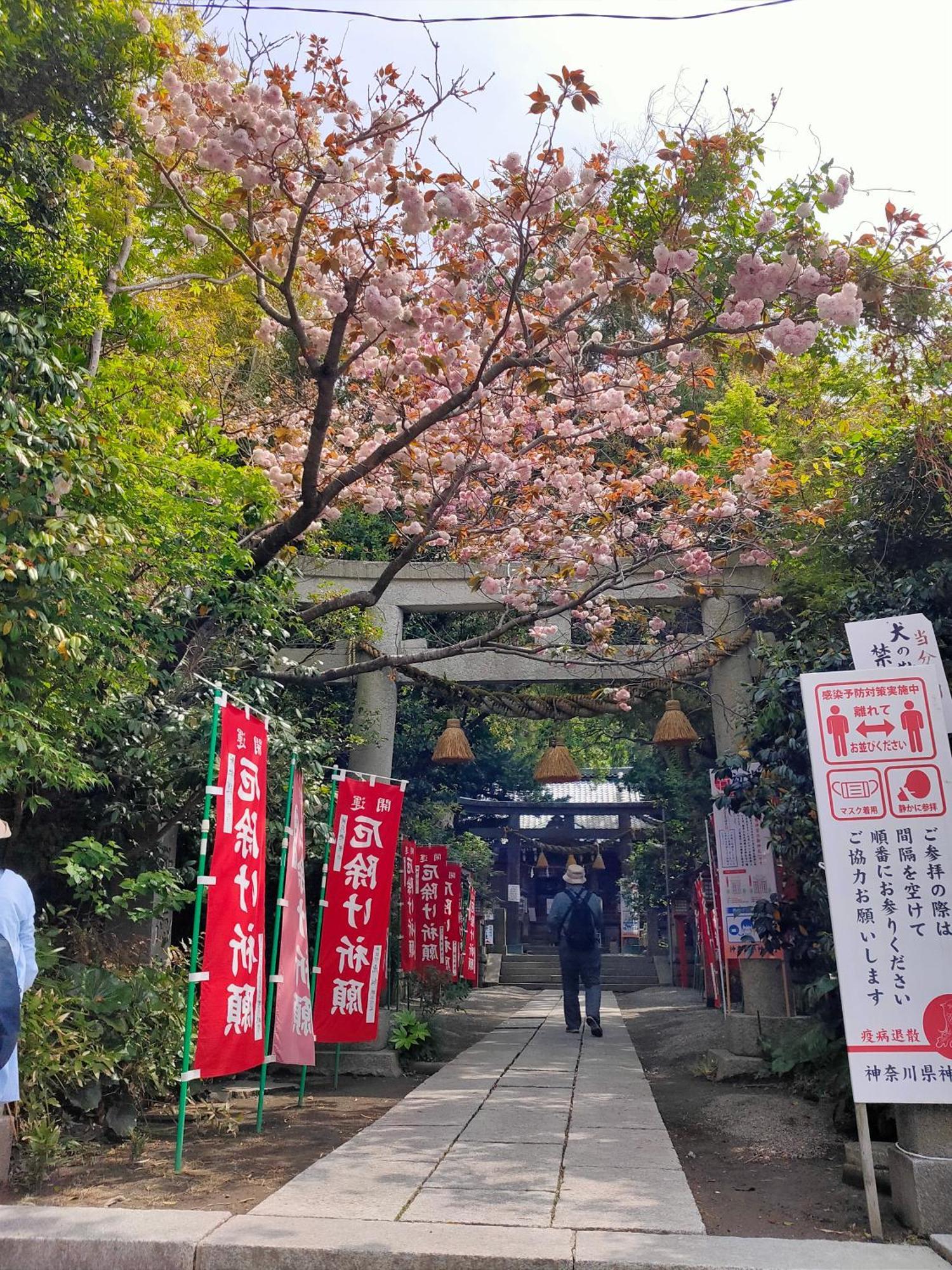Apartmán Jiro De Kamakura Exteriér fotografie